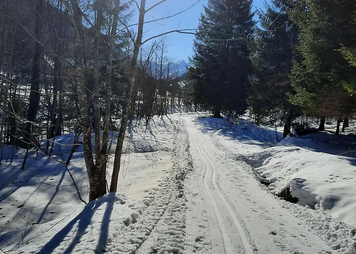 Bergluft - Haus Lerchegger * Mossna